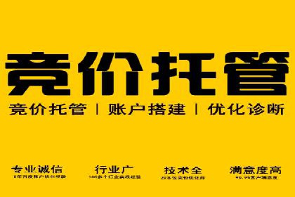 百度推广成功之路：从零到一的实战案例记录